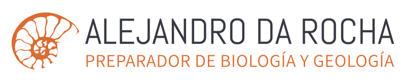 PREPARADORES OPOSICIONES BIOLOGÍA Y GEOLOGÍA